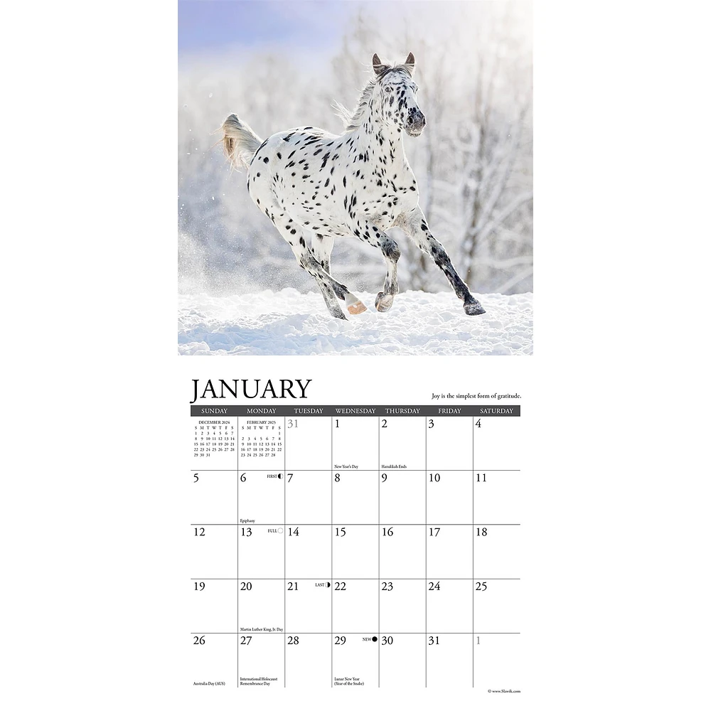 What Horses Teach Us Mini 2025 Calendar