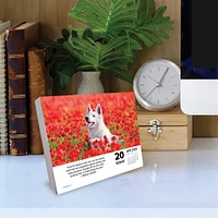 What Dogs Teach Us 2026 Box Calendar