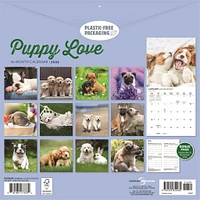 Puppy Love 2026 Wall Calendar
