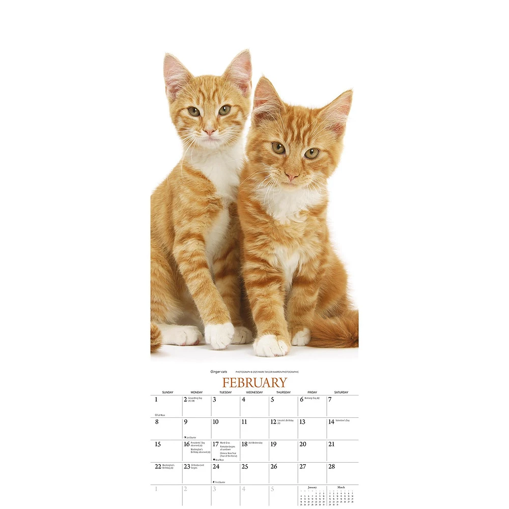 Cats 2026 Poster Calendar