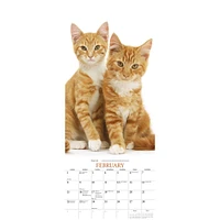 Cats 2026 Poster Calendar