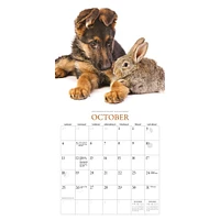 Puppies And Friends Mini  2026 Calendar
