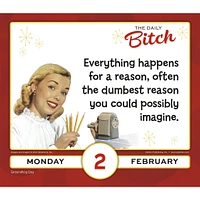 Daily Bitch 2026 Box Calendar