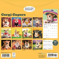 Corgi Capers 2026 Wall Calendar