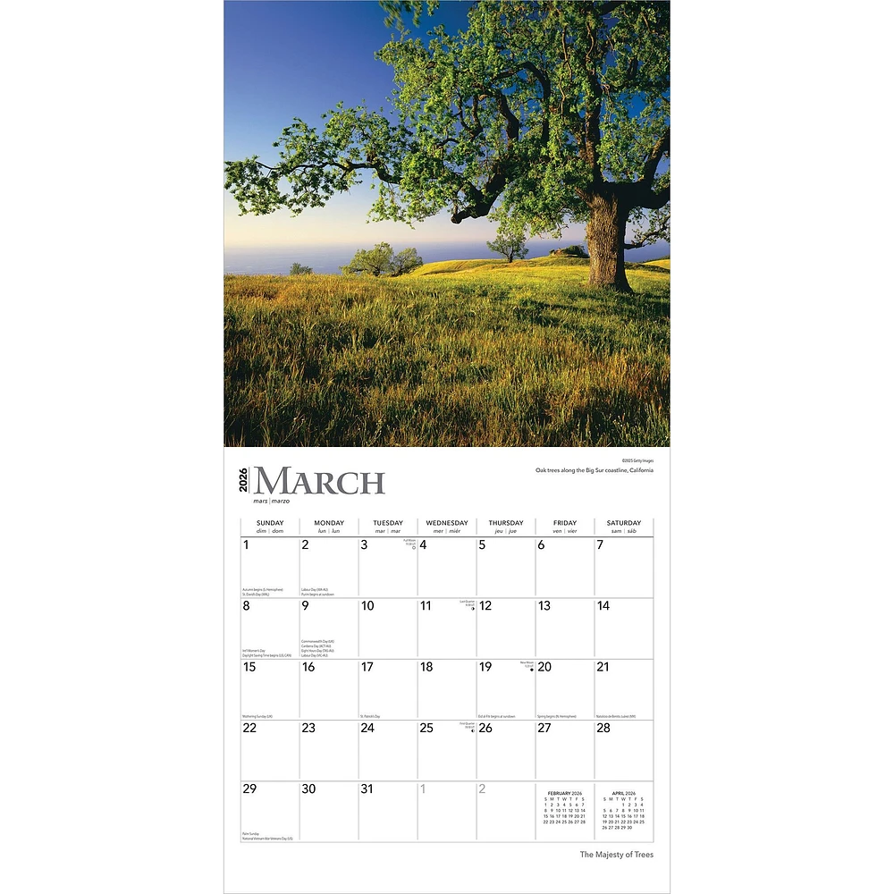 Majesty Of Trees 2026 Wall Calendar - Online Exclusive