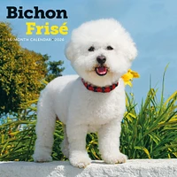 Bichon Frise 2026 Wall Calendar