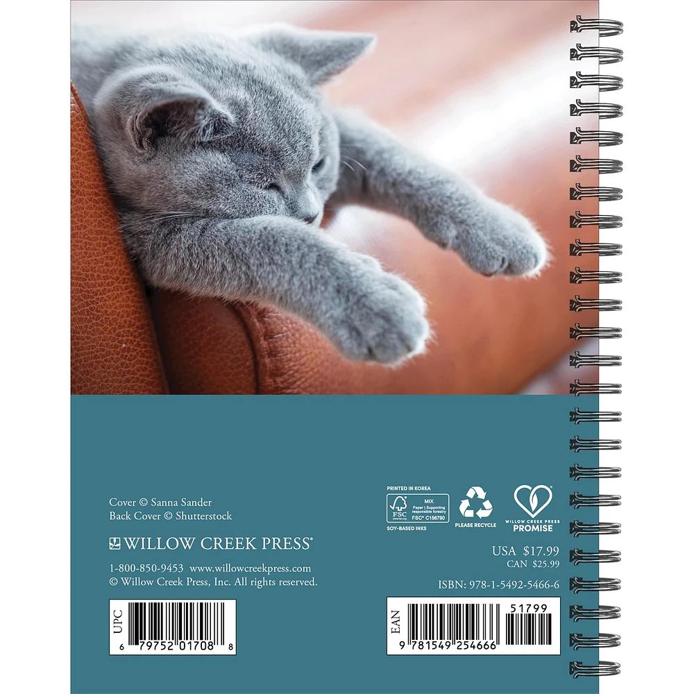 What Cats Teach Us 2026 Engagement Calendar