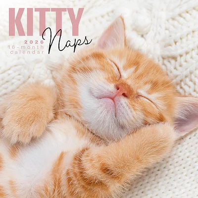 Kitty Naps 2026 Wall Calendar