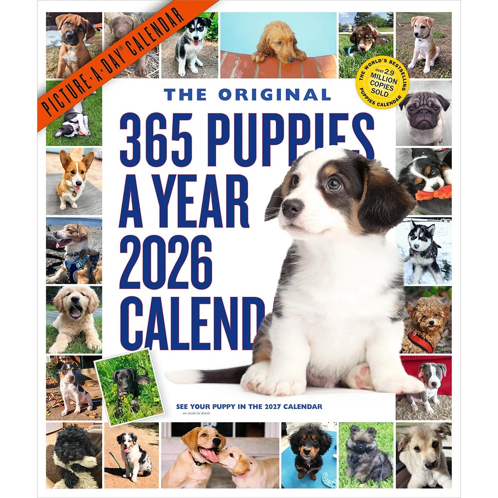 Puppies 365 2026 Wall Calendar