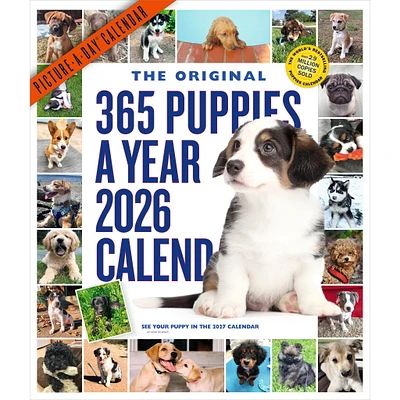 Puppies 365 2026 Wall Calendar