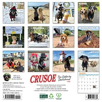 Crusoe The Celebrity Dachshund 2026 Wall Calendar
