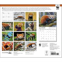 Red Pandas World Wildlife Fund Wall 2025 Calendar