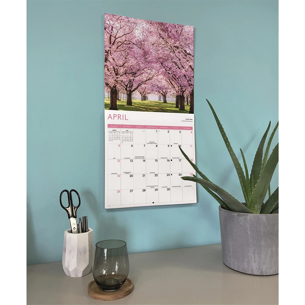Trees 2026 Wall Calendar