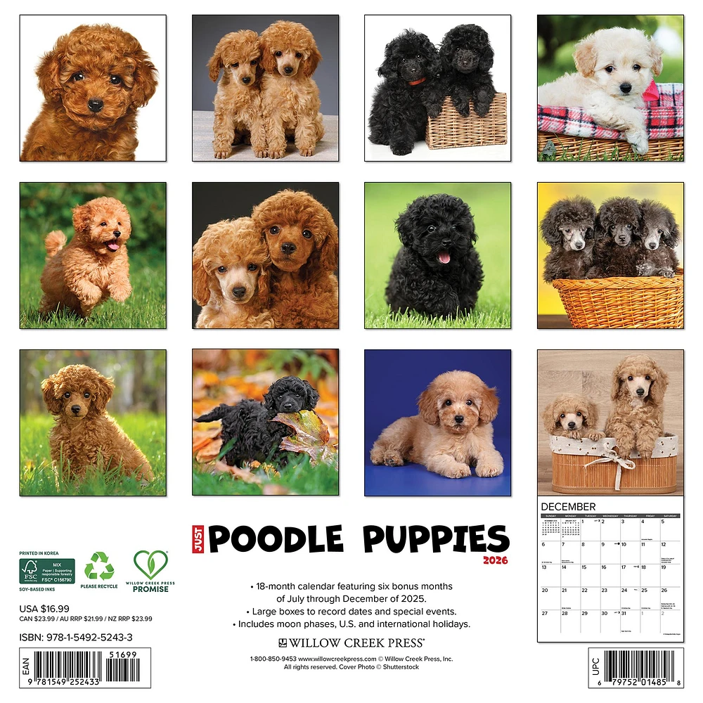 Just Poodle Puppies 2026 Wall Calendar - Online Exclusive