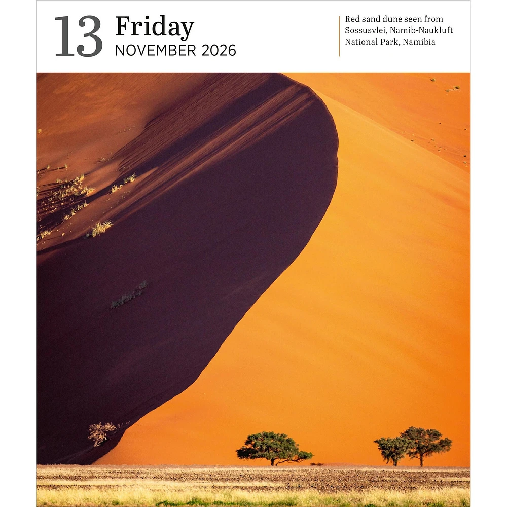 Audubon Nature Gallery 2026 Box Calendar