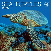 Sea Turtles 2026 MiniCalendar