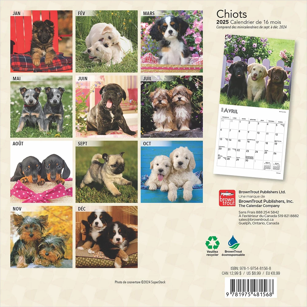 Chiots Mini 2025 Calendar (French)