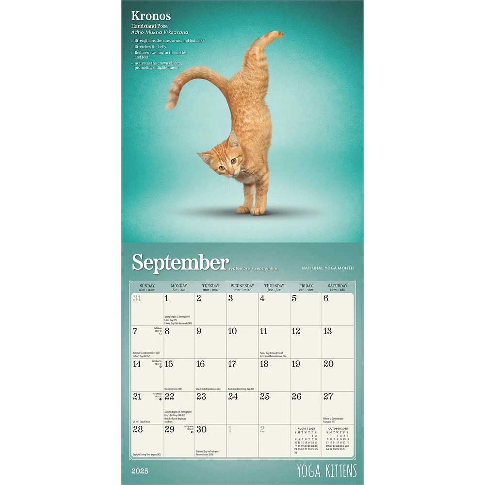 Yoga Kittens Mini 2025 Calendar