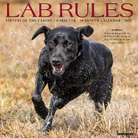 Lab Rules Wall 2025 Calendar