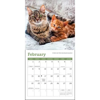 Cats 2026 Mini Calendar