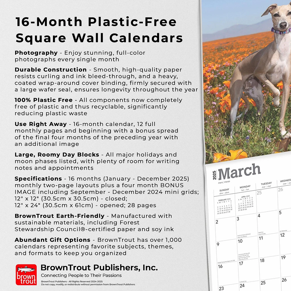 Italian Greyhounds Wall 2025 Calendar - Online Exclusive