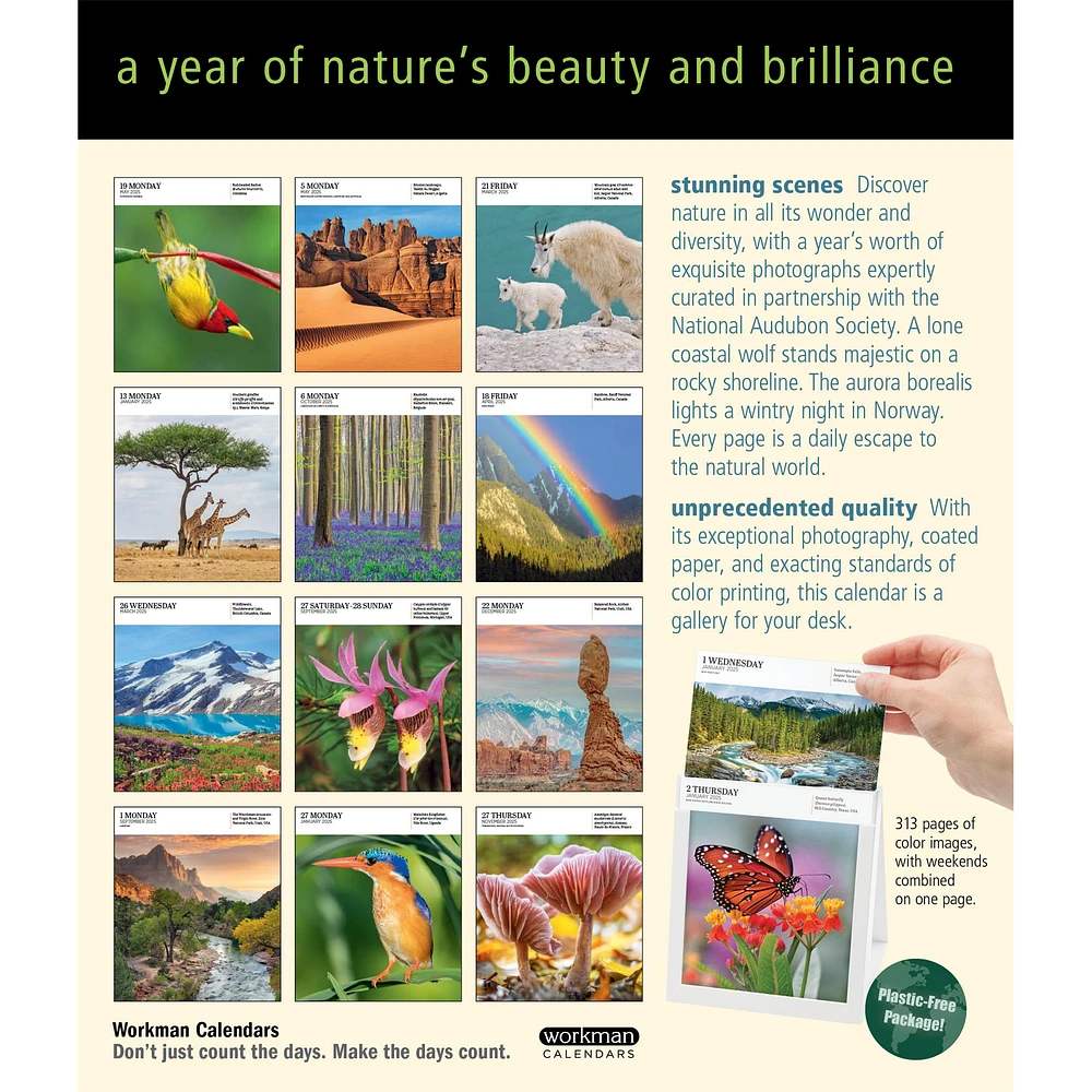 Audubon Nature Gallery Box 2025 Calendar