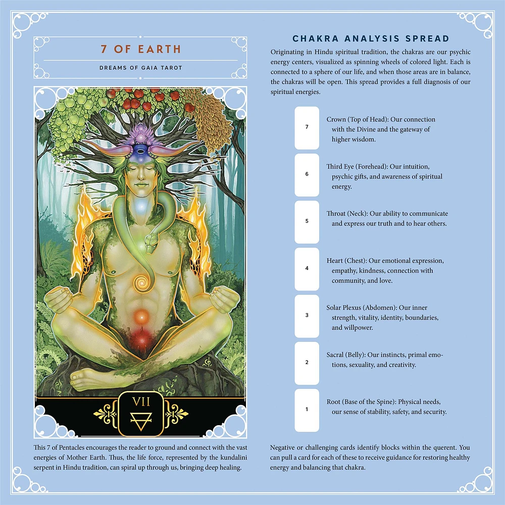 Tarot 2026 Wall Calendar