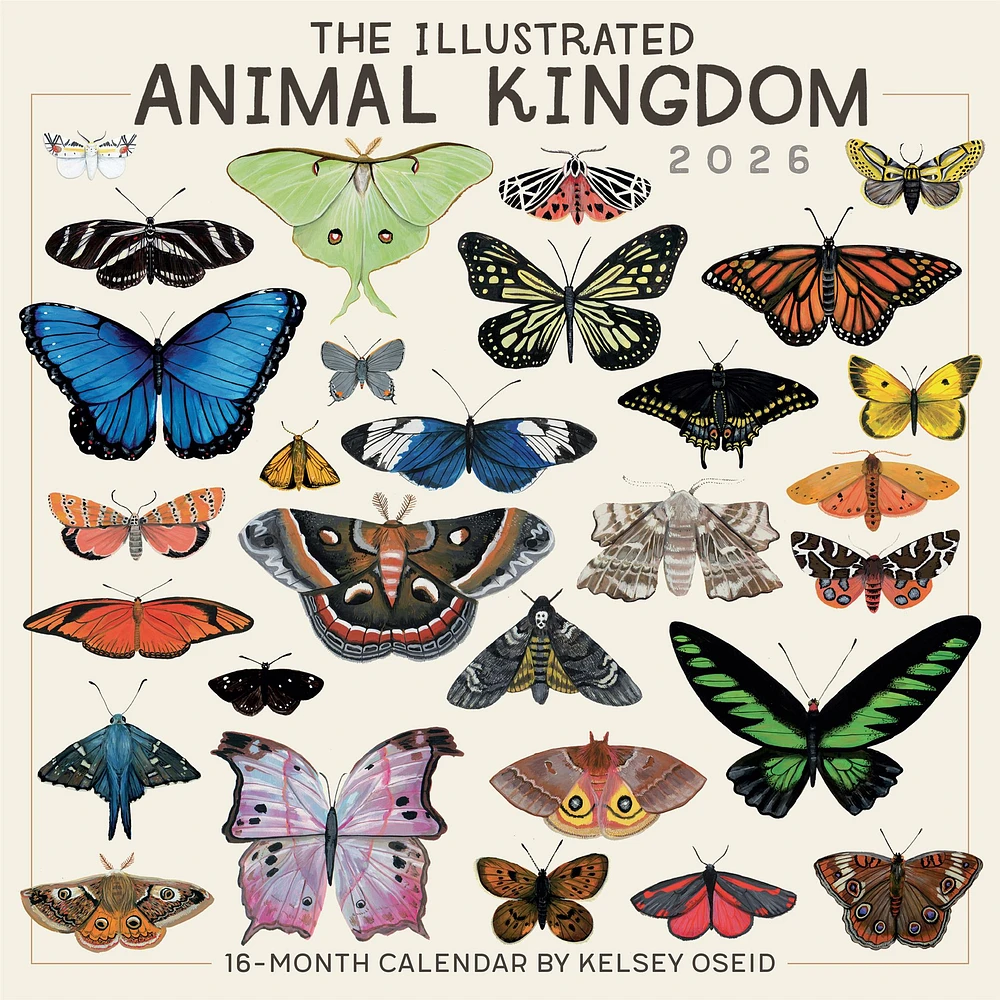 Illustrated Animal Kingdom 2026 Wall Calendar - Online Exclusive
