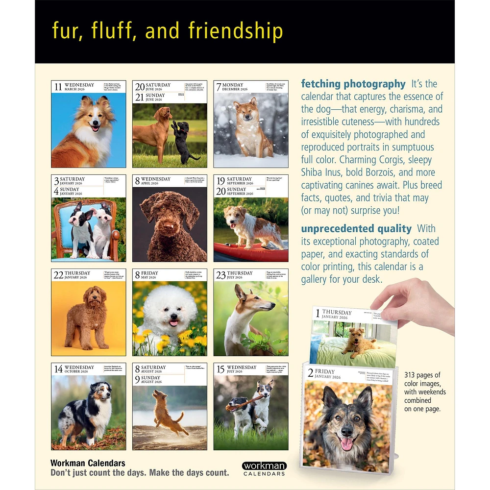 Dog Gallery 2026 Box Calendar