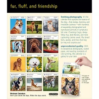 Dog Gallery 2026 Box Calendar
