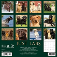 Just Labs 2026 Wall Calendar