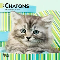 Chatons Mini 2025 Calendar (French)