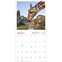 Giraffe Manor 2026 Wall Calendar - Online Exclusive