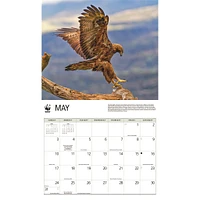 World Wildlife Fund Eagles 2026 Wall Calendar
