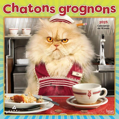 Chatons Grognons Wall 2025 Calendar (French)