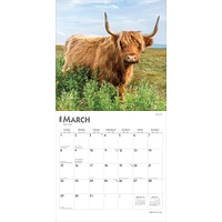 Highland Cows 2026 Wall Calendar