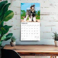 Miniature Schnauzers 2026 Wall Calendar