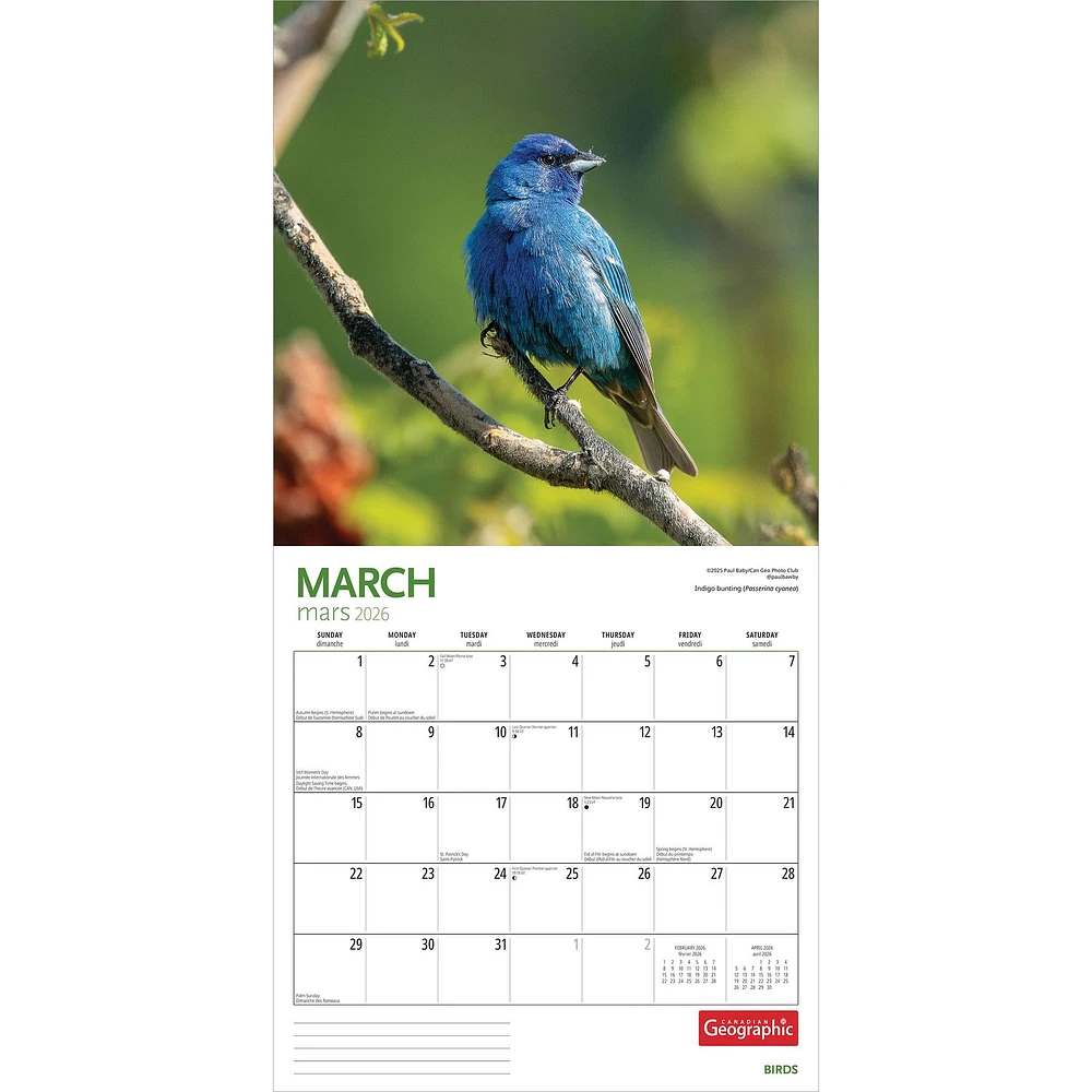 Canadian Geographic Birds 2026 Wall Calendar - Online Exclusive
