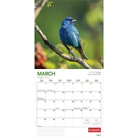 Canadian Geographic Birds 2026 Wall Calendar - Online Exclusive