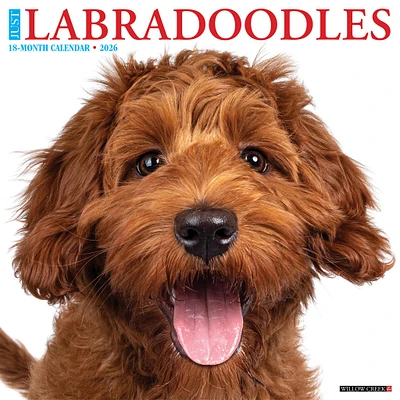 Just Labradoodles 2026 Wall Calendar