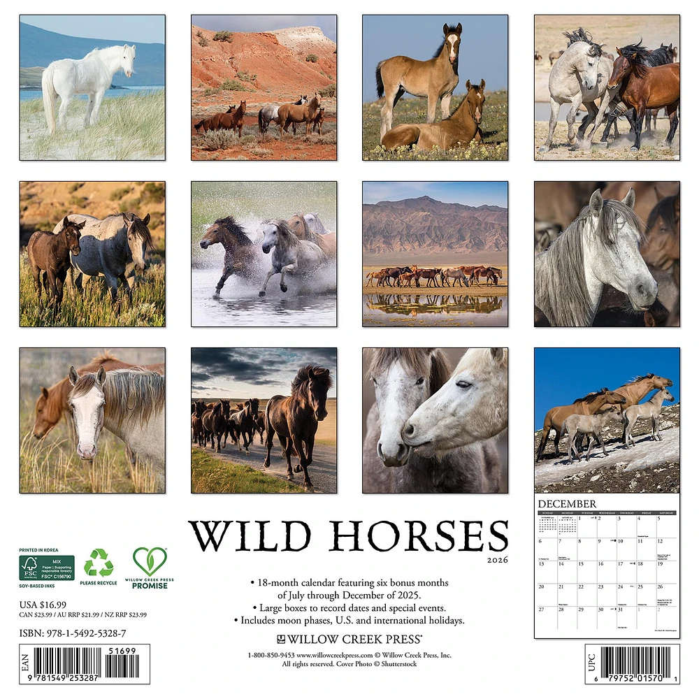 Wild Horses 2026 Wall Calendar