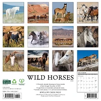 Wild Horses 2026 Wall Calendar