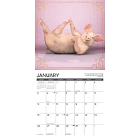 Pig Pilates Wall 2025 Calendar