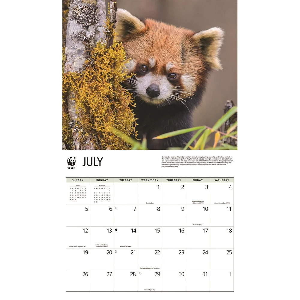 World Wildlife Fund Red Pandas  2026 Wall Calendar