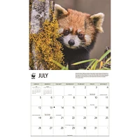 World Wildlife Fund Red Pandas  2026 Wall Calendar