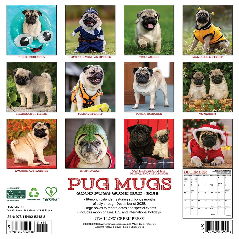 Pug Mugs 2026 Wall Calendar