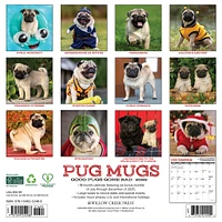 Pug Mugs 2026 Wall Calendar