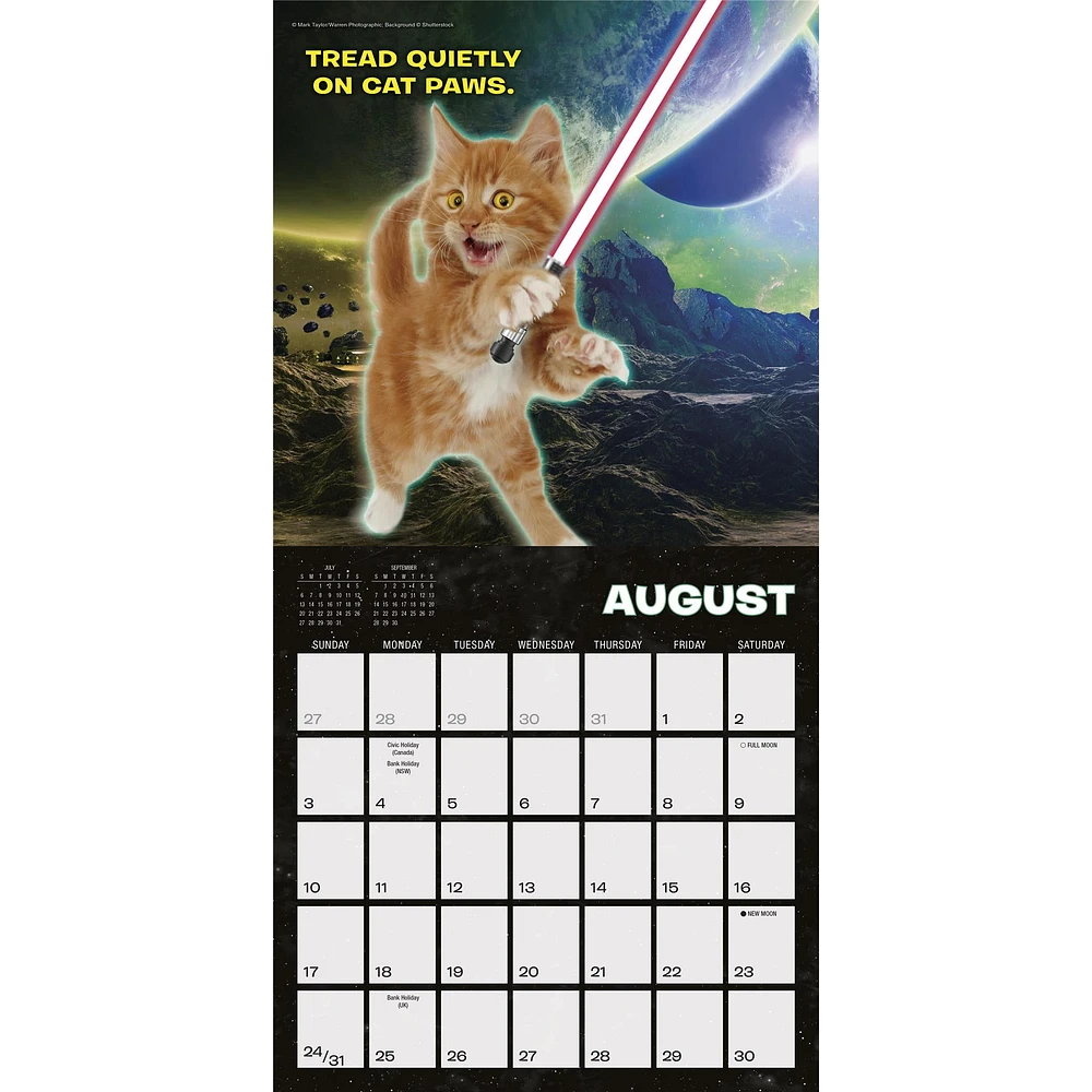 Cat Wars Mini 2025 Calendar