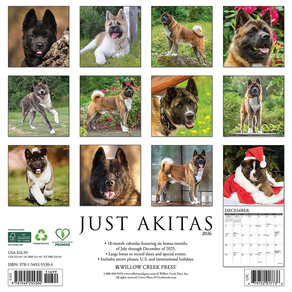 Just Akitas 2026 Wall Calendar - Online Exclusive