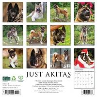Just Akitas 2026 Wall Calendar - Online Exclusive